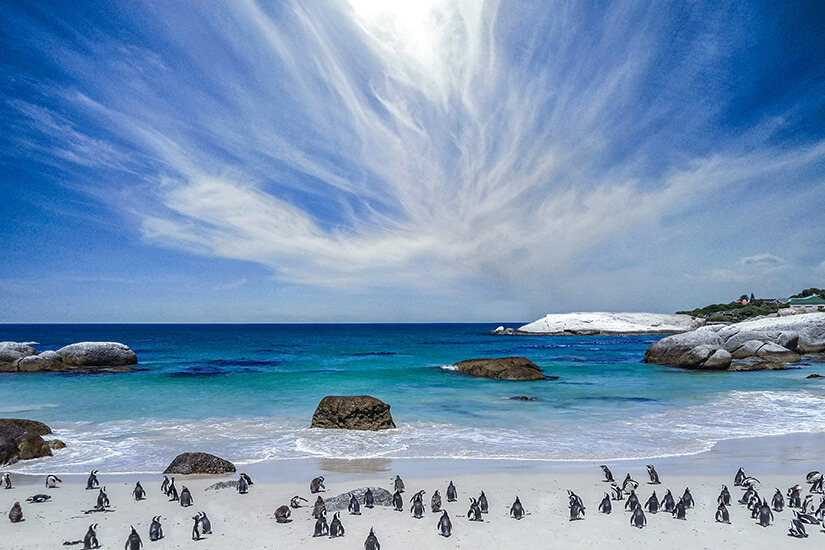 Suedafrika Straende Boulders Beach