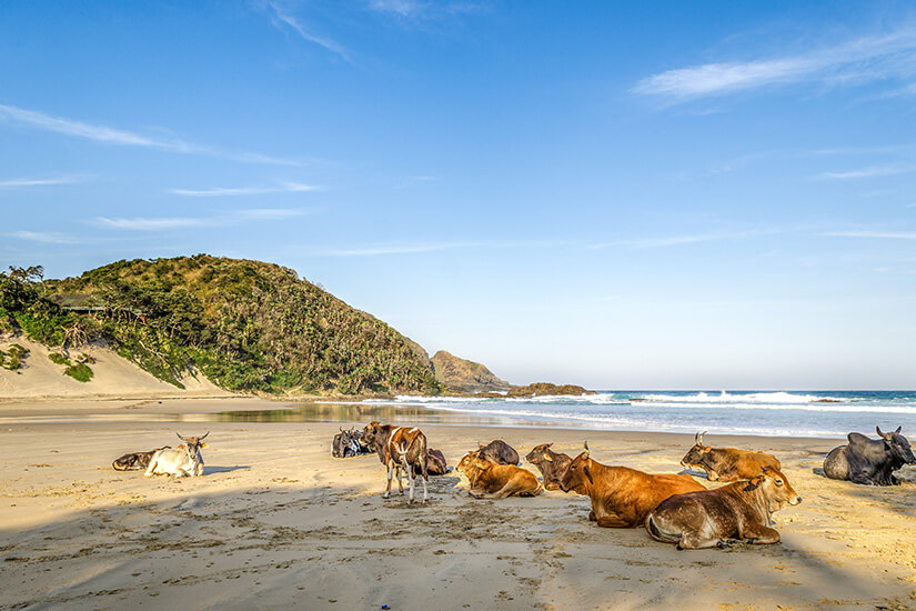Suedafrika Straende Port St Johns Beach
